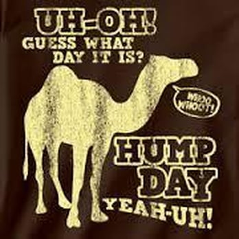W M Martin Advertising - Woo hoo! It's Hump Day. Anyone need some mid week promotions? Just let me know! - Advertising Near Me W M Martin Advertising - Woo hoo! It's Hump Day. Anyone need some mid week promotions? Just let me know! - Advertising Near Me