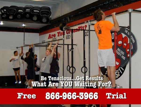 Bulldog CrossFit Logo