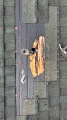 Slide of Shaddai Roofing