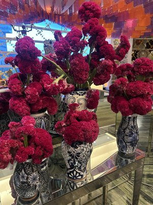 King Cole Bar by null