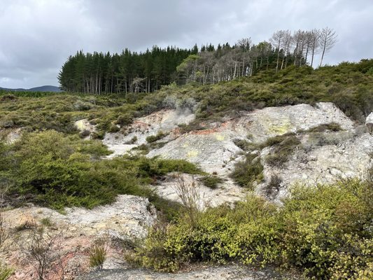 Waiotapu Thermal Wonderland by null