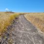 Photo of Lasky Mesa in Upper Las Virgenes Canyon Open Space