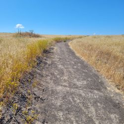 Lasky Mesa in Upper Las Virgenes Canyon Open Space