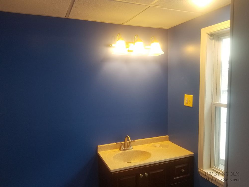 Slide of Maltese Services