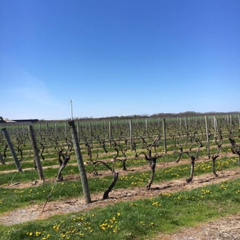 Lenz Winery - Wineries Near Me - Peconic, New York