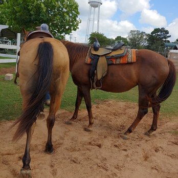 Roselake Ranch - Horseback Riding Near Me - Garrison, Texas