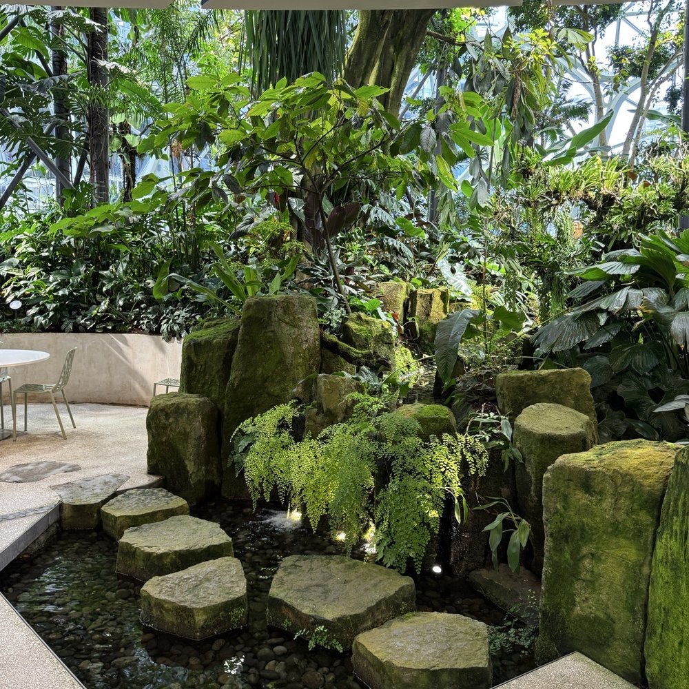 Amazon Spheres - Botanical Gardens Near Me - Seattle, Washington