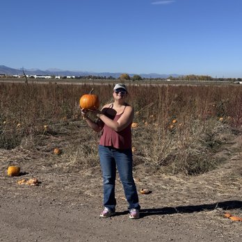 Rock Creek Farm - Pumpkin Patches Near Me - Broomfield, Colorado Rock Creek Farm - Pumpkin Patches Near Me - Broomfield, Colorado