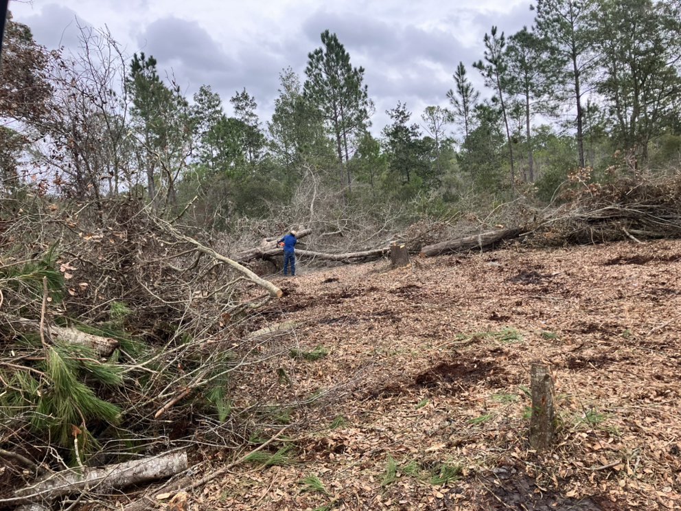 Slide of Sanchez Services