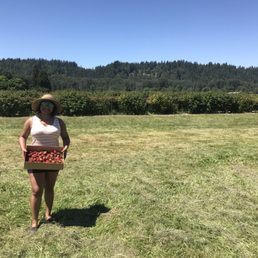 Berry picking Berry picking