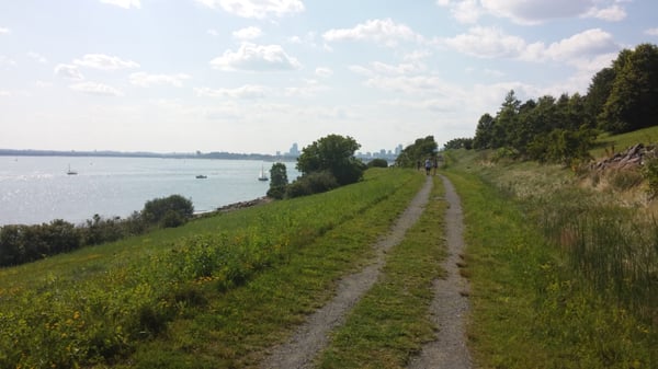 Spectacle Island by null