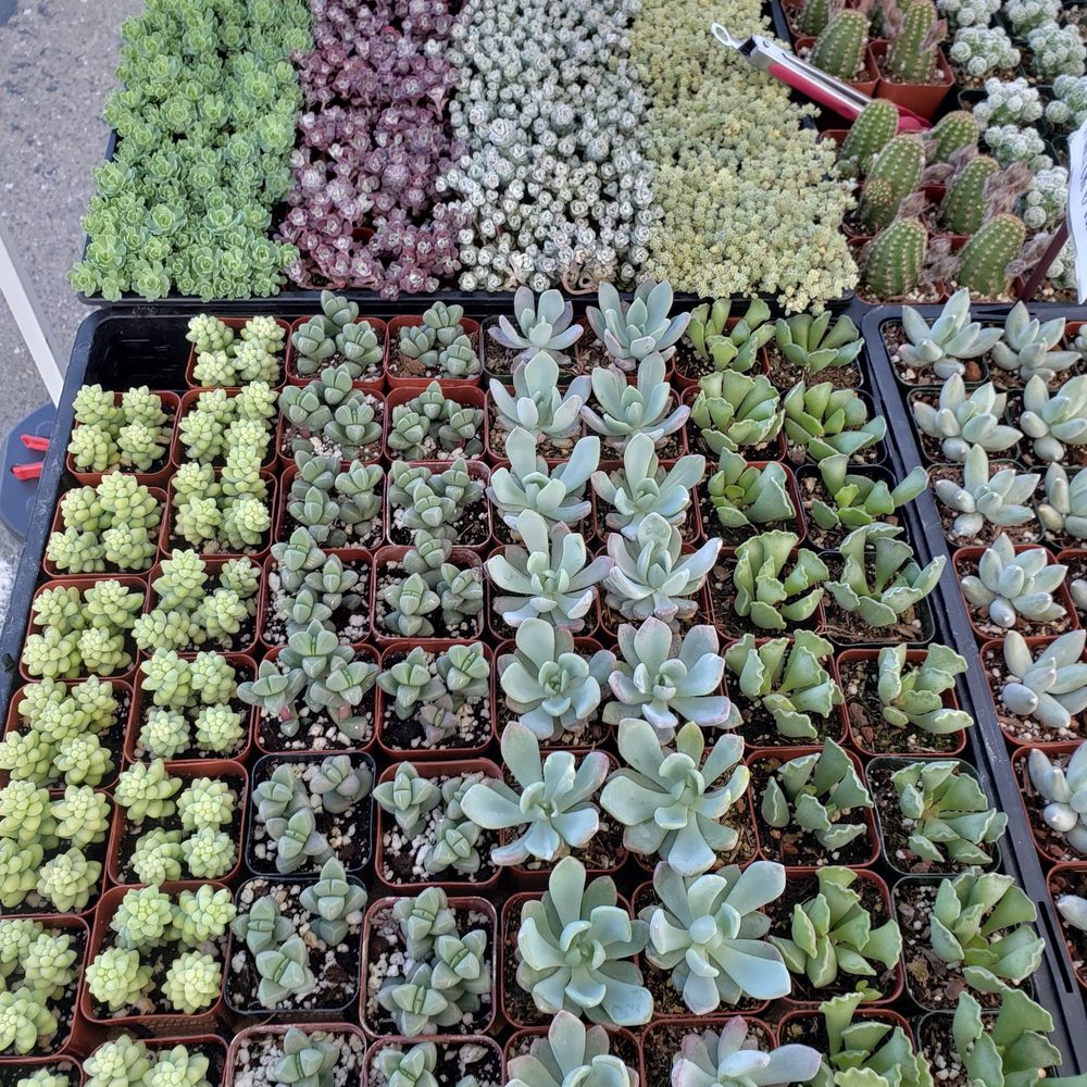 Burlingame Fresh Market - Farmers Market Near Me - Burlingame, California