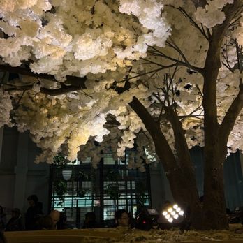 Janken - Indoor - Japanese Near Me - Portland, Oregon