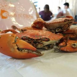 Crab n' Crew Restobar - Alimango (mud crabs)