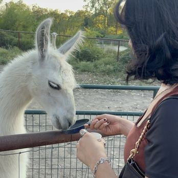 Huddin Homestead Fun Farm - Attraction Farms Near Me - Rockwall, Texas