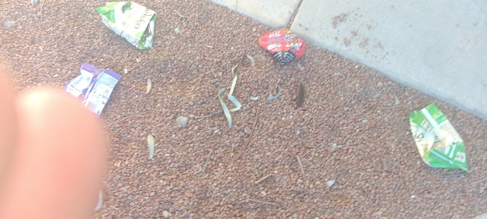 Southern Nevada Regional Housing Authority - social services organization in Las Vegas, NV