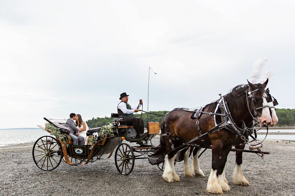 Wild Iris Farm - equestrian in Bar Harbor, ME