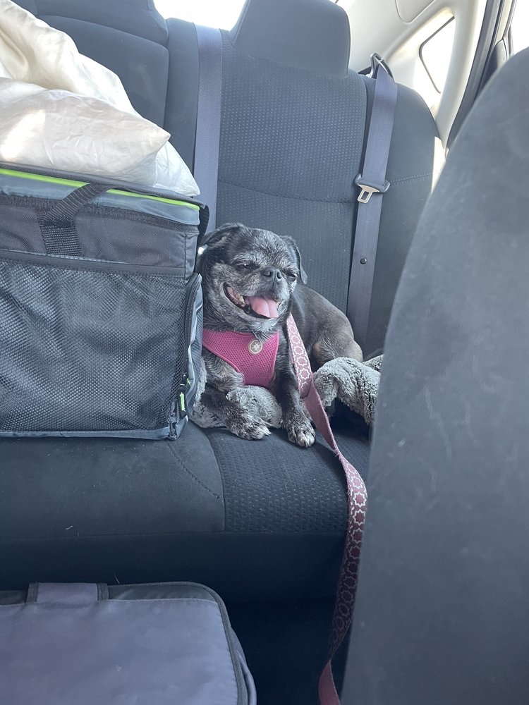 DEMING ANIMAL CLINIC Updated September 2024 2117 Columbus Rd SE