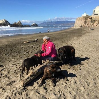 BluePearl Pet Hospice - the two dogs i referred to in my review. - Veterinarians Near Me BluePearl Pet Hospice - the two dogs i referred to in my review. - Veterinarians Near Me