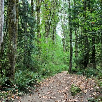 Crystal Falls - Trailhead - Hiking Near Me - Coquitlam, British Columbia