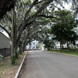 Magnolia Street