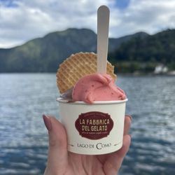 La Fabbrica del Gelato - Strawberry & chocolate gelato