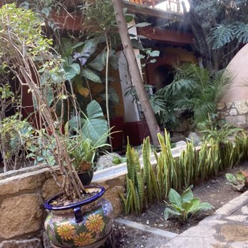 Hostal Casa del Sótano - The patio. - Hostels Near Me - Oaxaca, OAX