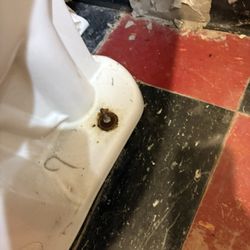 Mizu Sushi - Women's disgusting bathroom