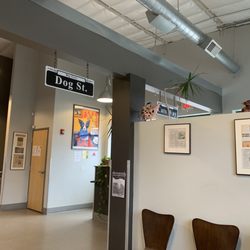 The Big Easy Animal Hospital - Waiting patiently after a walk-in. No line is a good sign!