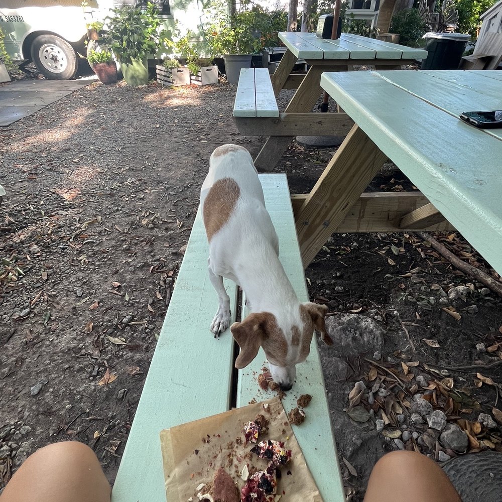 Seaside Eatery - Food Trucks Near Me - Key Largo, Florida Seaside Eatery - Food Trucks Near Me - Key Largo, Florida