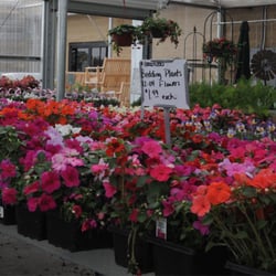 Stockdale's - Full greenhouse with lot of helpful advice