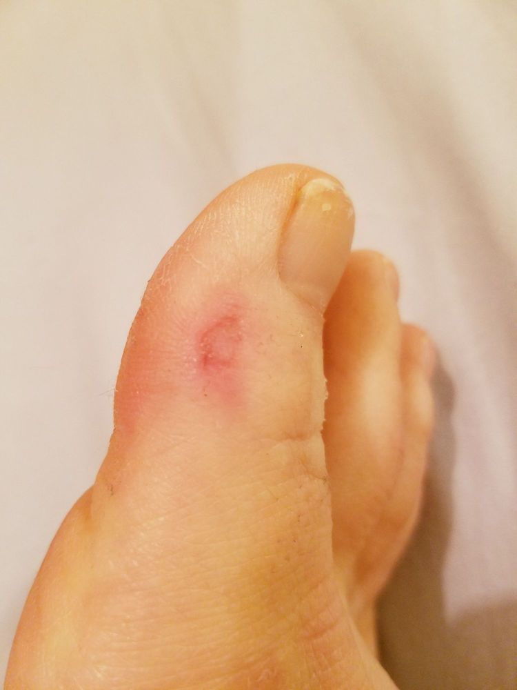 JUNE ROSE NAIL & SPA 29 Photos & 23 Reviews 501B Newbridge Rd, East