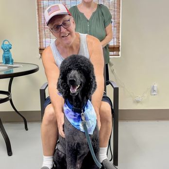 Ace Grooming - Pet Groomers Near Me - Homosassa, Florida Ace Grooming - Pet Groomers Near Me - Homosassa, Florida