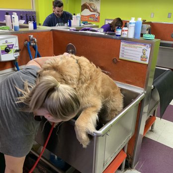 Bark If You're Dirty - Self washing stations - Pet Groomers Near Me - Scottsdale, Arizona Bark If You're Dirty - Self washing stations - Pet Groomers Near Me - Scottsdale, Arizona