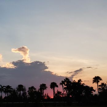 Doral Meadow Park - Parks Near Me - Doral, Florida Doral Meadow Park - Parks Near Me - Doral, Florida