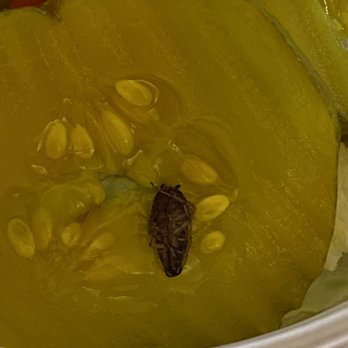 Chirping Chicken - Bug in my food! - American Near Me - New York, New York Chirping Chicken - Bug in my food! - American Near Me - New York, New York