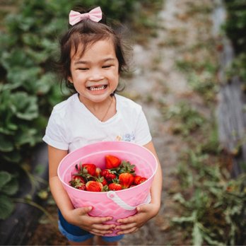 Salem Berry Farm - 2019 - Farms Near Me - Virginia Beach, Virginia