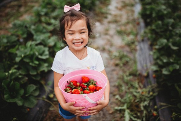 Salem Berry Farm by null