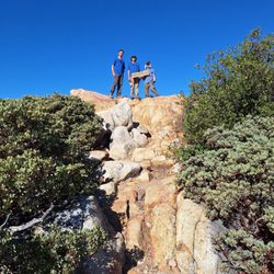 Harvey Moore Trail