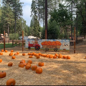 Apple Ridge Farms - Pumpkin patch - Bakeries Near Me - Camino, California Apple Ridge Farms - Pumpkin patch - Bakeries Near Me - Camino, California
