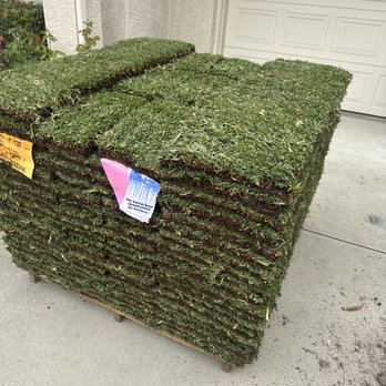 Ancira Landscaping - Sod Installation - Landscaping Near Me