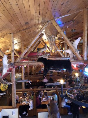 Blue Moose Bar & Grill by null