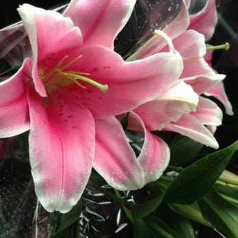 Fujikami Florist - Pink lilies - Florists Near Me - Honolulu, Hawaii Fujikami Florist - Pink lilies - Florists Near Me - Honolulu, Hawaii