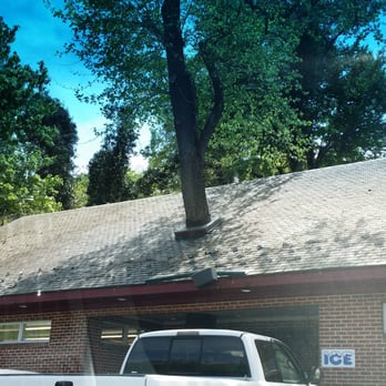 Moore's Country Store - Yes, that's a tree growing through the roof of this little country store. Inside are the World Famous Moore's Country Store Hot Dogs - Grocery Near Me - Lynchburg, Virginia