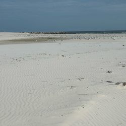 Orange Beach Fishing Park at the Pass - Sand
