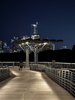 Lady Bird Lake by null