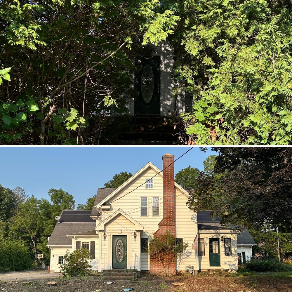 CFB Tree Service - tree service in Webster, MA