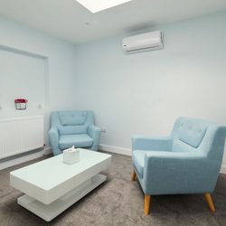 The Artemis Clinic