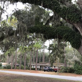 Forrest Hills - What a gorgeous oak tree with Spanish moss! - Parks Near Me