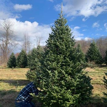 Bilmar Nurseries - Found a tree - Nurseries & Gardening Near Me - Pleasant Valley, New York